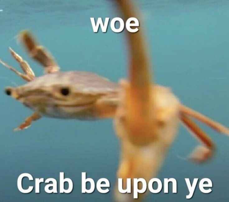photo of crab with pincer facing towards camera. in white text "wor crab be upon ye"